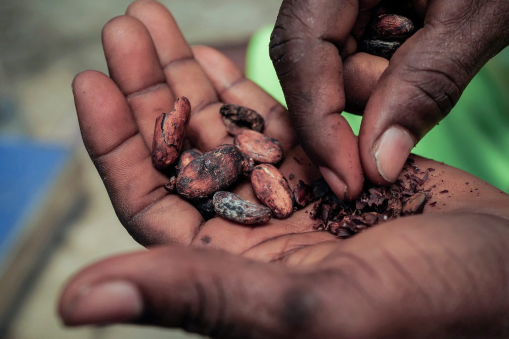 PBS NewsHour: Hard-hit cocoa harvests cause chocolate prices to soar worldwide